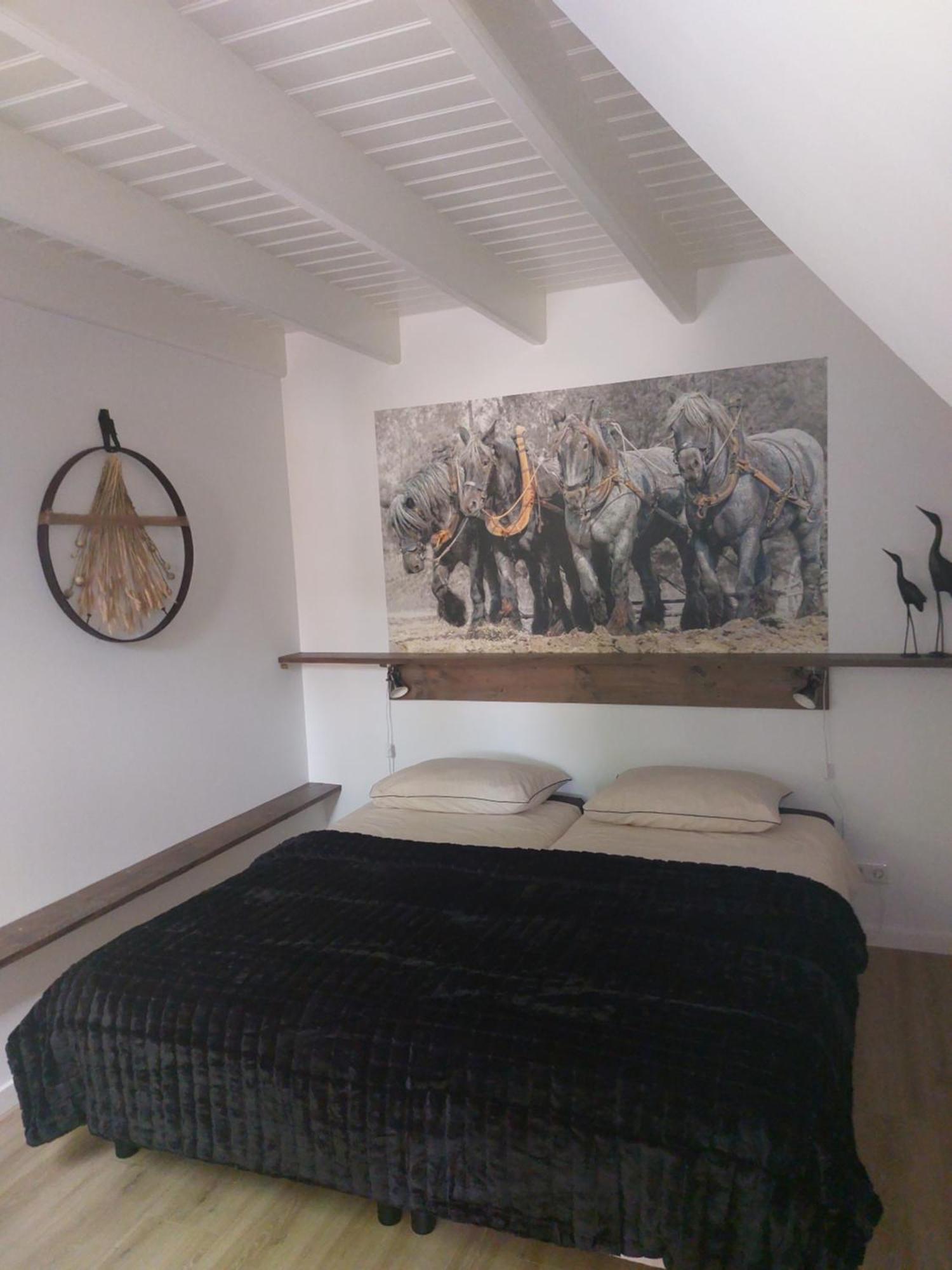 De Stal Op Hof Buitenlust *